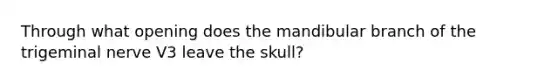 Through what opening does the mandibular branch of the trigeminal nerve V3 leave the skull?