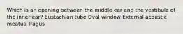 Which is an opening between the middle ear and the vestibule of the inner ear? Eustachian tube Oval window External acoustic meatus Tragus