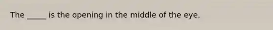 The _____ is the opening in the middle of the eye.