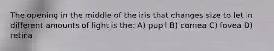 The opening in the middle of the iris that changes size to let in different amounts of light is the: A) pupil B) cornea C) fovea D) retina