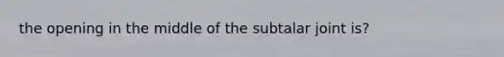 the opening in the middle of the subtalar joint is?