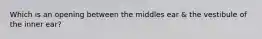 Which is an opening between the middles ear & the vestibule of the inner ear?