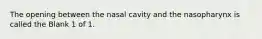 The opening between the nasal cavity and the nasopharynx is called the Blank 1 of 1.