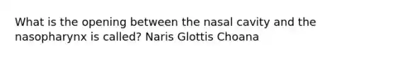 What is the opening between the nasal cavity and the nasopharynx is called? Naris Glottis Choana