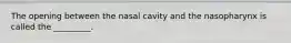 The opening between the nasal cavity and the nasopharynx is called the _________.