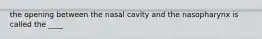 the opening between the nasal cavity and the nasopharynx is called the ____