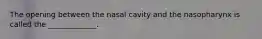 The opening between the nasal cavity and the nasopharynx is called the _____________.