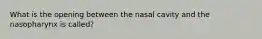 What is the opening between the nasal cavity and the nasopharynx is called?