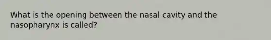 What is the opening between the nasal cavity and the nasopharynx is called?