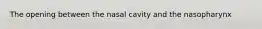 The opening between the nasal cavity and the nasopharynx