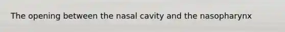 The opening between the nasal cavity and the nasopharynx