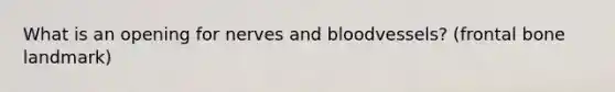 What is an opening for nerves and bloodvessels? (frontal bone landmark)