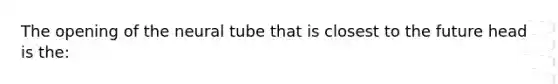 The opening of the neural tube that is closest to the future head is the: