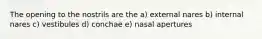 The opening to the nostrils are the a) external nares b) internal nares c) vestibules d) conchae e) nasal apertures