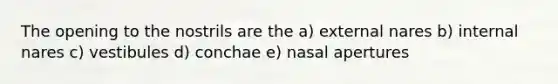 The opening to the nostrils are the a) external nares b) internal nares c) vestibules d) conchae e) nasal apertures