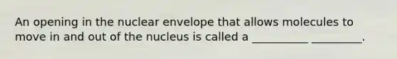 An opening in the nuclear envelope that allows molecules to move in and out of the nucleus is called a __________ _________.