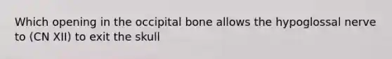 Which opening in the occipital bone allows the hypoglossal nerve to (CN XII) to exit the skull