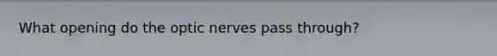 What opening do the optic nerves pass through?