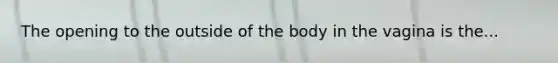 The opening to the outside of the body in the vagina is the...