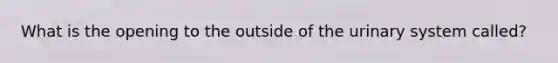 What is the opening to the outside of the urinary system​ called?