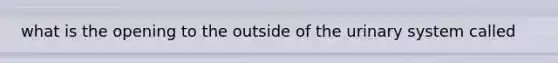 what is the opening to the outside of the urinary system called