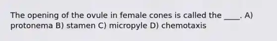 The opening of the ovule in female cones is called the ____. A) protonema B) stamen C) micropyle D) chemotaxis