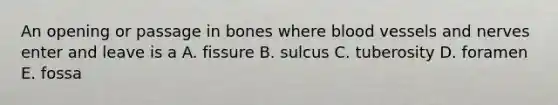 An opening or passage in bones where blood vessels and nerves enter and leave is a A. fissure B. sulcus C. tuberosity D. foramen E. fossa