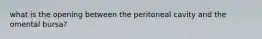 what is the opening between the peritoneal cavity and the omental bursa?