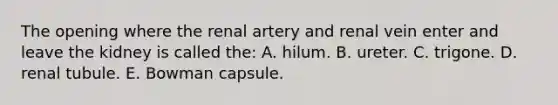 The opening where the renal artery and renal vein enter and leave the kidney is called the: A. hilum. B. ureter. C. trigone. D. renal tubule. E. Bowman capsule.