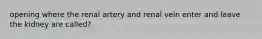opening where the renal artery and renal vein enter and leave the kidney are called?