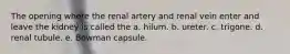 The opening where the renal artery and renal vein enter and leave the kidney is called the a. hilum. b. ureter. c. trigone. d. renal tubule. e. Bowman capsule.