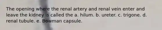 The opening where the renal artery and renal vein enter and leave the kidney is called the a. hilum. b. ureter. c. trigone. d. renal tubule. e. Bowman capsule.