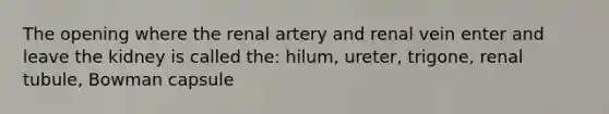 The opening where the renal artery and renal vein enter and leave the kidney is called the: hilum, ureter, trigone, renal tubule, Bowman capsule