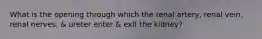 What is the opening through which the renal artery, renal vein, renal nerves, & ureter enter & exit the kidney?