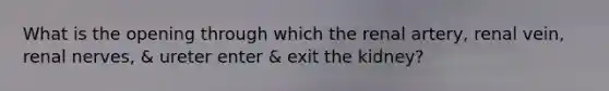 What is the opening through which the renal artery, renal vein, renal nerves, & ureter enter & exit the kidney?