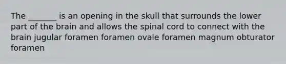 The _______ is an opening in the skull that surrounds the lower part of the brain and allows the spinal cord to connect with the brain jugular foramen foramen ovale foramen magnum obturator foramen