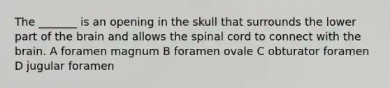 The _______ is an opening in the skull that surrounds the lower part of the brain and allows the spinal cord to connect with the brain. A foramen magnum B foramen ovale C obturator foramen D jugular foramen