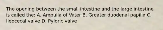 The opening between the small intestine and the large intestine is called the: A. Ampulla of Vater B. Greater duodenal papilla C. Ileocecal valve D. Pyloric valve