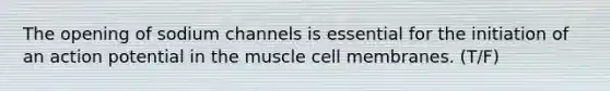 The opening of sodium channels is essential for the initiation of an action potential in the muscle cell membranes. (T/F)