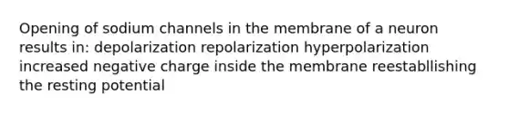 Opening of sodium channels in the membrane of a neuron results in: depolarization repolarization hyperpolarization increased negative charge inside the membrane reestabllishing the resting potential