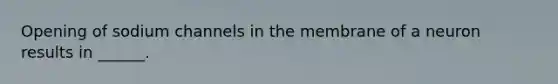 Opening of sodium channels in the membrane of a neuron results in ______.