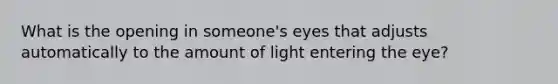 What is the opening in someone's eyes that adjusts automatically to the amount of light entering the eye?