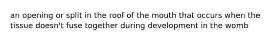 an opening or split in the roof of the mouth that occurs when the tissue doesn't fuse together during development in the womb