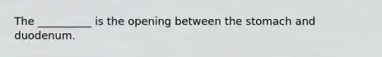 The __________ is the opening between the stomach and duodenum.