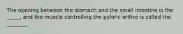 The opening between the stomach and the small intestine is the _____, and the muscle controlling the pyloric orifice is called the ________