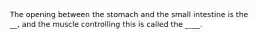 The opening between the stomach and the small intestine is the __, and the muscle controlling this is called the ____.