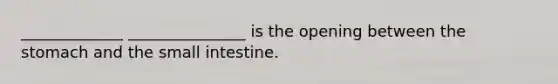 _____________ _______________ is the opening between <a href='https://www.questionai.com/knowledge/kLccSGjkt8-the-stomach' class='anchor-knowledge'>the stomach</a> and <a href='https://www.questionai.com/knowledge/kt623fh5xn-the-small-intestine' class='anchor-knowledge'>the small intestine</a>.