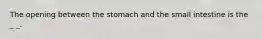 The opening between the stomach and the small intestine is the _ _.