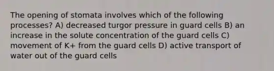 The opening of stomata involves which of the following processes? A) decreased turgor pressure in guard cells B) an increase in the solute concentration of the guard cells C) movement of K+ from the guard cells D) active transport of water out of the guard cells