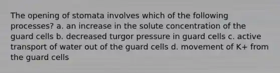 The opening of stomata involves which of the following processes? a. an increase in the solute concentration of the guard cells b. decreased turgor pressure in guard cells c. active transport of water out of the guard cells d. movement of K+ from the guard cells